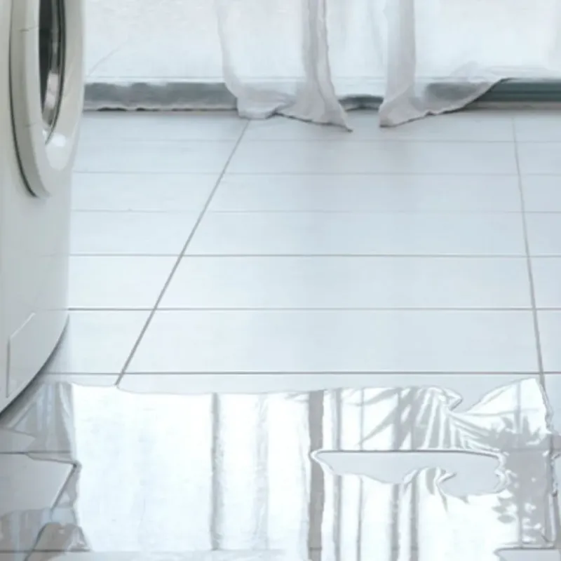 Appliance Leak Cleanup in Buckhall, VA
